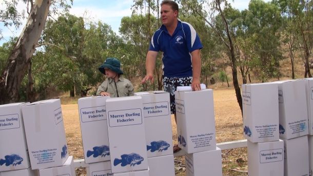 Restocking boosts native numbers